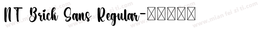 NT Brick Sans Regular字体转换